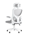 209499