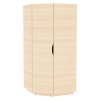 258531