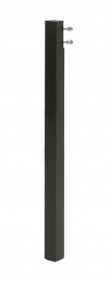 295974
