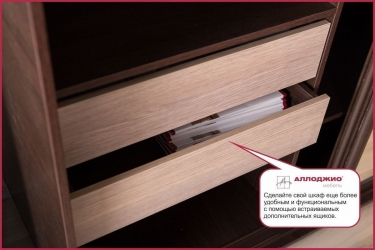 Шкаф-купе Аллоджио Хит-24-20-555 Дуб млечный