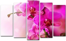Модульная картина Toplight хсм Toplight TL-PM0009
