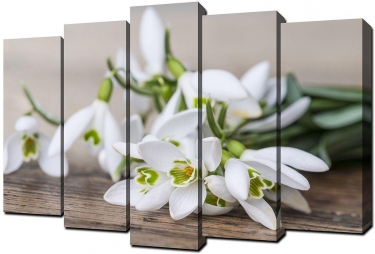 Модульная картина Toplight хсм Toplight TL-PM0011