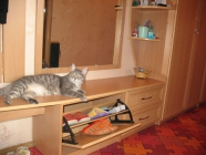 Прихожая
