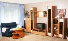 Комплект корпусной мебели для гостиной Омега, витрины