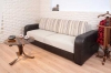 15038