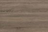 344031