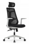 68243