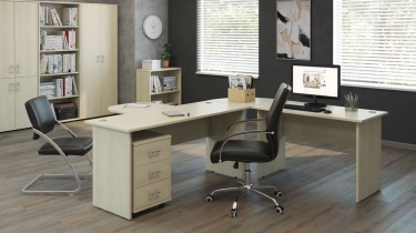 Двери высокие POINTEX TRD29654302 Светлый дуб