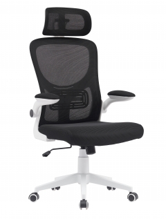 Компьютерное кресло Stool Group TopChairs Airone белый с черной сеткой
