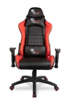 273935
